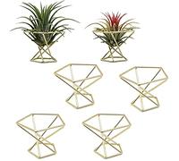Kueohse 6 Piezas Soporte GeoméTrico para Plantas de Aire, Estantes para Plantas de Metal, Estantes para Macetas, DecoracióN Himmeli, Contenedores Tillandsia
