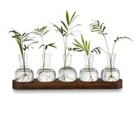 Kueohse EstacióN de PropagacióN de Terrario de Plantas, Florero de Vidrio con Bandeja de Madera, Floreros Modernos para Sala de Estar y Oficina