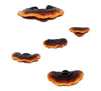 Kueohse Juego de 5 Estantes de Setas para DecoracióN de Pared, Estante de Pared PequeñO para Dormitorio, DecoracióN de Setas de Resina, Estantes Flotantes, DecoracióN de Pared de Esquina