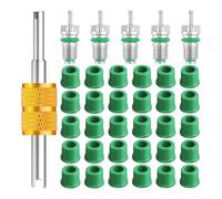 Kueohse Kit de Juntas de Manguera de Carga de 36 Piezas R134a de 1/4 de Pulgada, Accesorios para el Núcleo de la Válvula del Aire Acondicionado, Incluye 30 Juntas de Manguera de Válvula