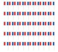 Kueohse Lote de 50 mini palillos de dientes con bandera para pasteles de frutas de fiesta - Francia (azul, rojo)