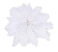 Kueohse R 20 x Plumas de Ramo Naturales 25-30 cm Decoración Fija