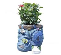 Kufughty Lindos Maceteros para Plantas de Interior y Exterior, Maceta Decorativa Pequeña para Suculentas, Macetero de Cactus de Resina,B