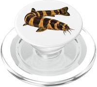 Kuhli Loach Pangio kuhlii Acuario de Agua Dulce Pescador PopSockets PopGrip para MagSafe