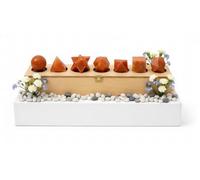 KULIA Red Aventurine Platonic Solids Stones with Sacred Geometry Case Different Shape Crystal Stone of 7 Pcs Hand Carved Wooden Storage Box Feng Shui Platonic Stone Reiki Chakra Gifts