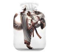 Kung Fu Cat Ragdoll - Botella de agua caliente con funda de terciopelo, bolsa de agua caliente para compresas frías y calientes, pequeña