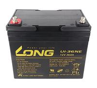 Kung Long U1-36NE - Batería de plomo (12 V, 36 Ah, con