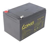 Kung Long WP12-12E F2 - Batería de plomo-fieltro, 12 V, 12 Ah, con conector Faston de 6,3 mm