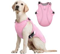 Kuoser L Chaleco refrigerante para perro transpirable, abrigo de refrigeración para perros, chaqueta refrigerante ventilada, actividades al aire libre, senderismo, entrenamiento, verano, paseos, calor