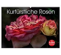Kurfürstliche Rosen Eltville am Rhein (Wandkalender 2026 DIN A2 quer), CALVENDO Monatskalender: Stilvolle Rosenporträts aus dem Rosengarten der Kurfürstlichen Burg Eltville am Rhein