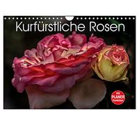 Kurfürstliche Rosen Eltville am Rhein (Wandkalender 2026 DIN A4 quer), CALVENDO Monatskalender: Stilvolle Rosenporträts aus dem Rosengarten der Kurfürstlichen Burg Eltville am Rhein