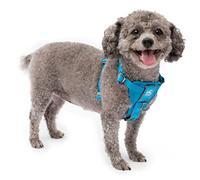 Kurgo Arnés para Perro | Arnés para Caminar para Mascotas | Arnés de Coche para Perros | Anillo en D Frontal para Entrenamiento sin tirones | Incluye Correa para cinturón de Seguridad para Perro |