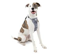 Kurgo Arnés para Perro,Arnés para Caminar para Mascotas,Sin arnés de tracción Frontal con Clip para Entrenamiento Incluido,Cinturón de Seguridad de Coche,Mediano,Gris