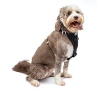 Kurgo Arnés para Perro Tru-Fit - Arnés de Paseo para Perros - Incluye Clip Frontal para Arnés de Entrenamiento Sin Tirones y Correa de Coche para Perros con Mosquetón de Seguridad - Negro, L