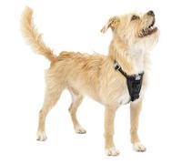 Kurgo Arnés para Perro Tru-Fit - Collar de Paseo para Perros - Incluye Clip Frontal para Arnés de Entrenamiento Sin Tirones y Correa de Coche para Perros con Mosquetón de Seguridad - Negro, S