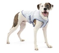 Kurgo Core Cooling Chaleco de Verano, M, Gris