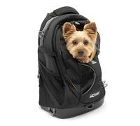 Kurgo G-Train - Mochila Transportín para Mascotas Pequeñas - Para Viajes y Senderismo, Fondo Impermeable y Múltiples Compartimentos - Negro