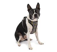 Kurgo Impact Arnés de Coche para Perros, A Prueba de Impactos, Arnés de Seguridad, para Cinturón de Seguridad, hasta 50 kg, Negro, S