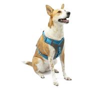 Kurgo Journey Air - Arnés para Perro, Arnés Reflectante para Correr Pasear Caminar y Viajes, Ajustable - Azul, L