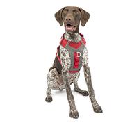 Kurgo Journey Air - Arnés para Perro, Arnés Reflectante para Correr Pasear Caminar y Viajes, Ajustable - Rojo, M