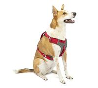 Kurgo Journey Air - Arnés para Perro, Arnés Reflectante para Correr Pasear Caminar y Viajes, Ajustable - Rojo, L