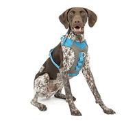 Kurgo Journey Air Arnés para Perros Activos, M, Azul