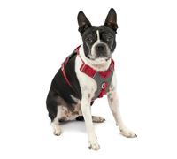 Kurgo Journey Air - Arnés para Perros Activos - Pecho Acolchado, Tela Ripstop Ligera y Malla Transpirable, Reflectante y Asa Trasera - Rojo - Talla S