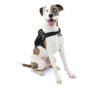 Kurgo RSG Townie - Arnés de Seguridad para Perros, Adiestramiento Perros Guía, Reflectante, Compatible con MOLLE - Negro, M