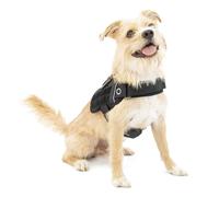 Kurgo RSG Townie - Arnés de Seguridad para Perros, Adiestramiento Perros Guía, Reflectante, Compatible con MOLLE - Negro, S
