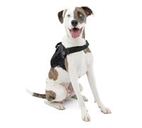 Kurgo RSG Townie Arnés, M, Negro