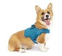 Kurgo RSG Townie - Arnés para Perros - Fácil de Poner y Quitar con Malla Transpirable, Compatible con MOLLE y Asa Superior - Azul Costa - Talla S