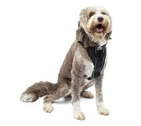 Kurgo Tru-Fit, Arnés de Paseo para Perros, A Prueba de Choques, Incluye Correa para Cinturón de Seguridad, Negro, L