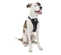 Kurgo Tru-Fit, Arnés de Paseo para Perros, A Prueba de Choques, Incluye Correa para Cinturón de Seguridad, Negro, M
