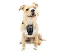 Kurgo Tru-Fit - Arnés de Paseo para Perros, Adiestramiento Antitirones, A Prueba de Choques, Incluye Correa para Cinturón de Seguridad - Negro, S