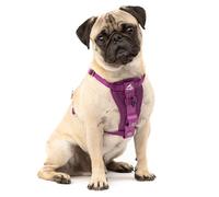 Kurgo Tru-Fit Arnés para Perro, Arnés de Paseo para Perros, Anillo en D para Entrenamiento sin Tirones, Incluye Mosquetón de Seguridad - Morado, S