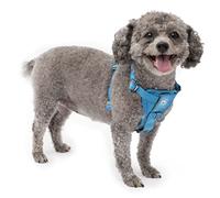 Kurgo Tru-Fit - Arnés Inteligente para Perro, arnés para pasear Mascotas, Hebillas de liberación rápida, Anillo en D Frontal para Entrenamiento sin tirones, Incluye Correa para cinturón de Seguridad
