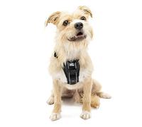 Kurgo Tru-Fit - Arnés de Paseo para Perros, Adiestramiento Antitirones, A Prueba de Choques, Incluye Correa para Cinturón de Seguridad - Negro, S