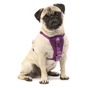 Kurgo Tru-Fit Arnés para Perro, Arnés de Paseo para Perros, Anillo en D para Entrenamiento sin Tirones, Incluye Mosquetón de Seguridad - Morado, XS