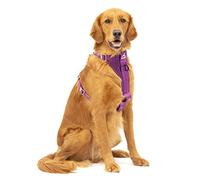 Kurgo Tru-Fit Arnés para Perro, Arnés de Paseo para Perros, Anillo en D para Entrenamiento sin Tirones, Incluye Mosquetón de Seguridad - Morado, XL