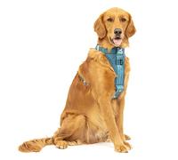 Kurgo Tru-Fit Arnés para Perro, Arnés de Paseo para Perros, Anillo en D para Entrenamiento sin Tirones, Incluye Mosquetón de Seguridad - Azul, L