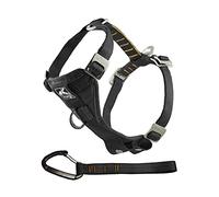 Kurgo Tru-Fit Arnés para Perro, Arnés de Paseo para Perros, Anillo en D para Entrenamiento sin Tirones, Incluye Mosquetón de Seguridad - Negro, M