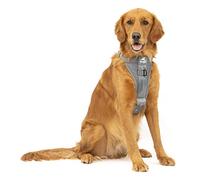 Kurgo Tru-Fit Arnés para Perro, Arnés de Paseo para Perros, Anillo en D para Entrenamiento sin Tirones, Incluye Mosquetón de Seguridad, Gris, L