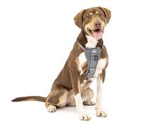 Kurgo Tru Fit - Arnés para Perros, para Paseo y Entrenamiento, Antitirones, con Clip Frontal, Correa con Mosquetón - Antracita, M