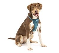 Kurgo Tru Fit - Arnés para Perros, para Paseo y Entrenamiento, Antitirones, con Clip Frontal, Correa con Mosquetón - Azul, M