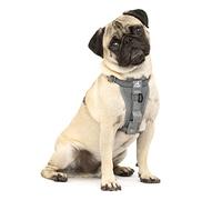 Kurgo Tru-Fit Arnés para Perro, Arnés de Paseo para Perros, Anillo en D para Entrenamiento sin Tirones, Incluye Mosquetón de Seguridad - Gris, S