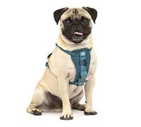 Kurgo Tru Fit - Arnés para Perros, para Paseo y Entrenamiento, Antitirones, con Clip Frontal, Correa con Mosquetón - Azul Tinta, XS