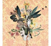 Kurt Elling – Wildflowers Vol. 3