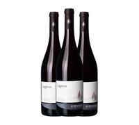 Kurtatsch Lagrein Alto Adige 75 cl Vino tinto (Caja de 3 Botellas de 75 cl)