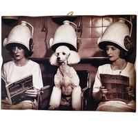 KUSTOM ART Cuadro Serie Animales Aristócratas Perro Caniche de Peluquería Impresión sobre Madera 25 x 18 cm