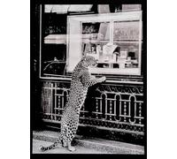 KUSTOM ART Póster decorativo de pared Serie Animales Leopardo Vitrina Joyería Impresión Artística sobre Papel Patinata 40 x 30 cm Sin Marco